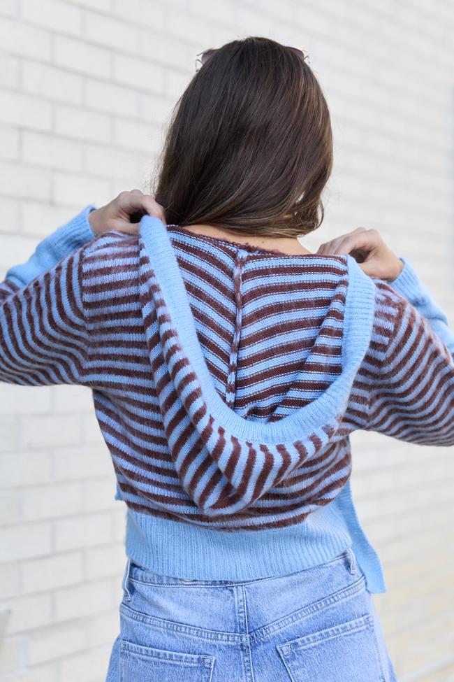 Cécile Blue And Brown Stripe Hooded Cardigan SALE