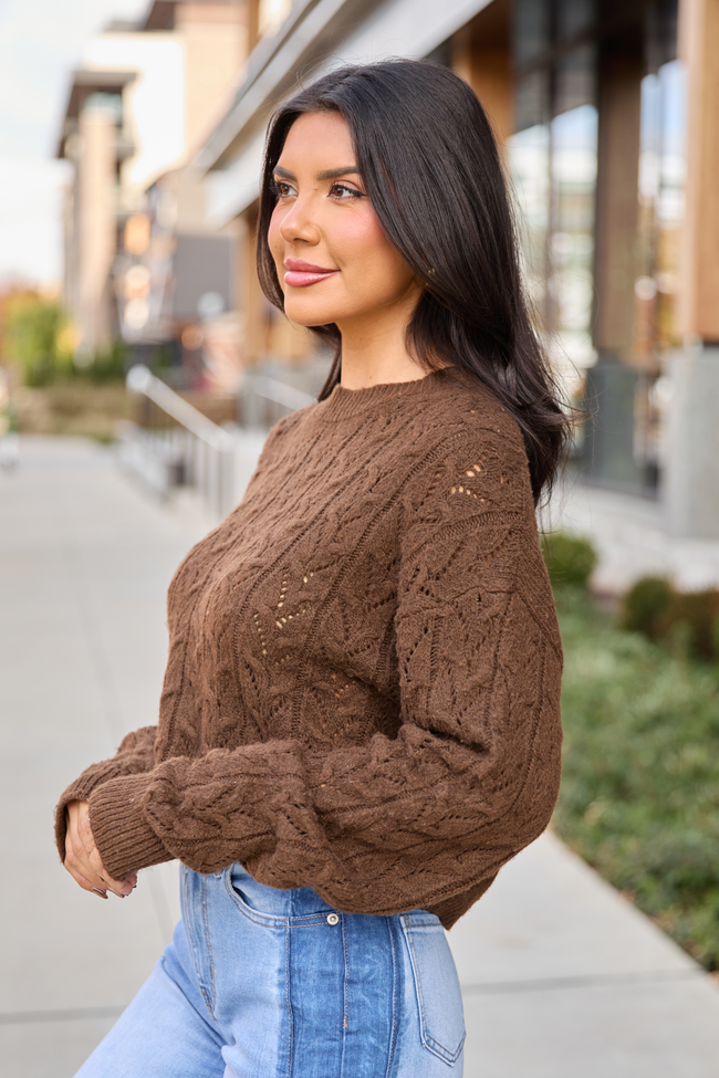 Remy Brown Cropped Cable Sweater
