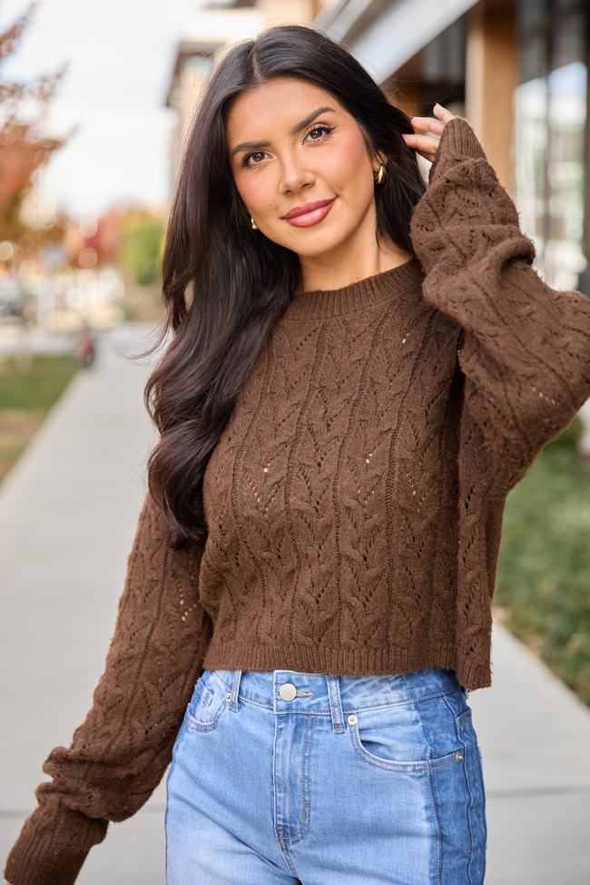 Remy Brown Cropped Cable Sweater
