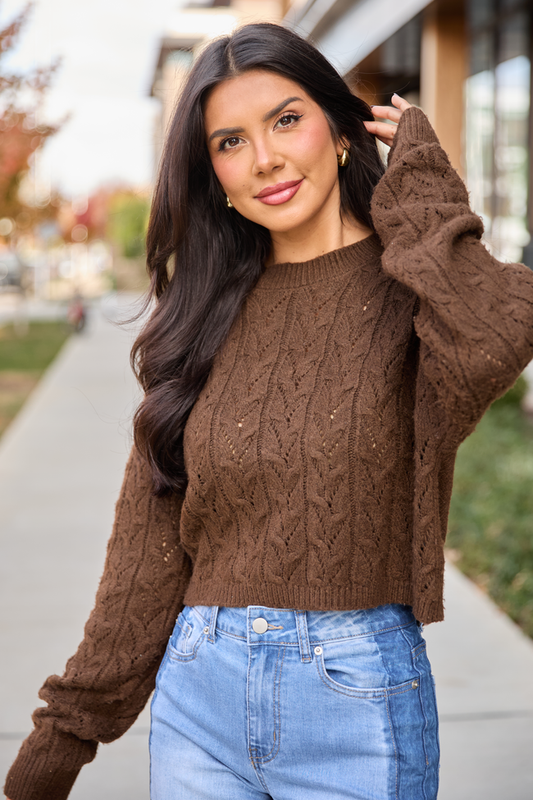 Remy Brown Cropped Cable Sweater