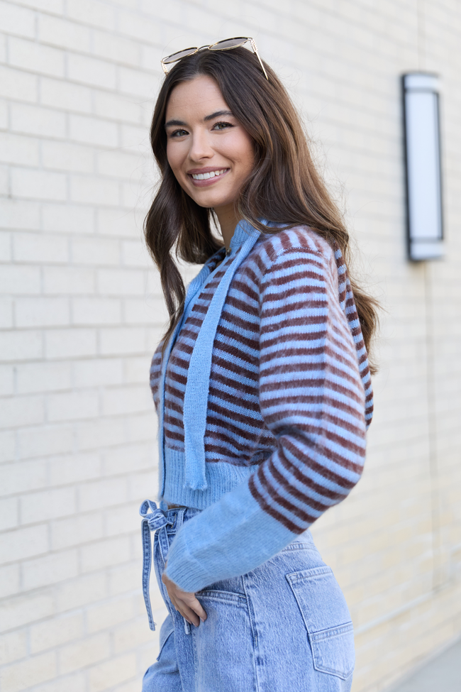Cécile Blue And Brown Stripe Hooded Cardigan SALE