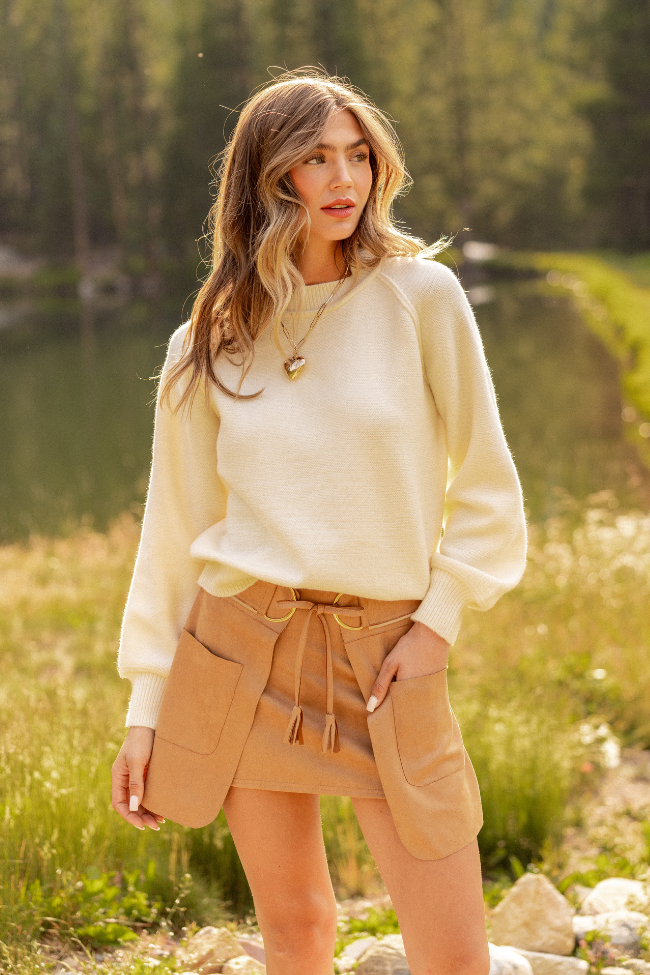 Alina Brown Suede Skirt