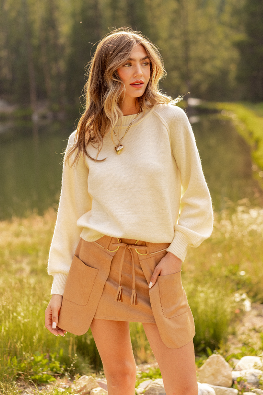 Alina Brown Suede Skirt